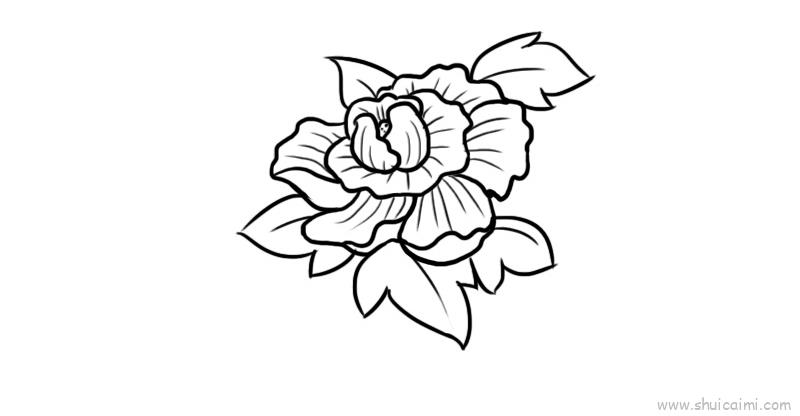 芙蓉花儿童画怎么画 芙蓉花简笔画简单又好看-图片4