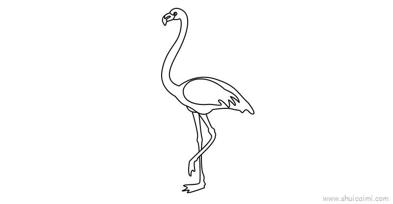 火烈鸟儿童画怎么画 火烈鸟简笔画好看-图片4
