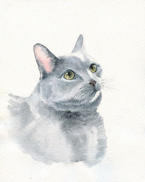 好看的水彩画