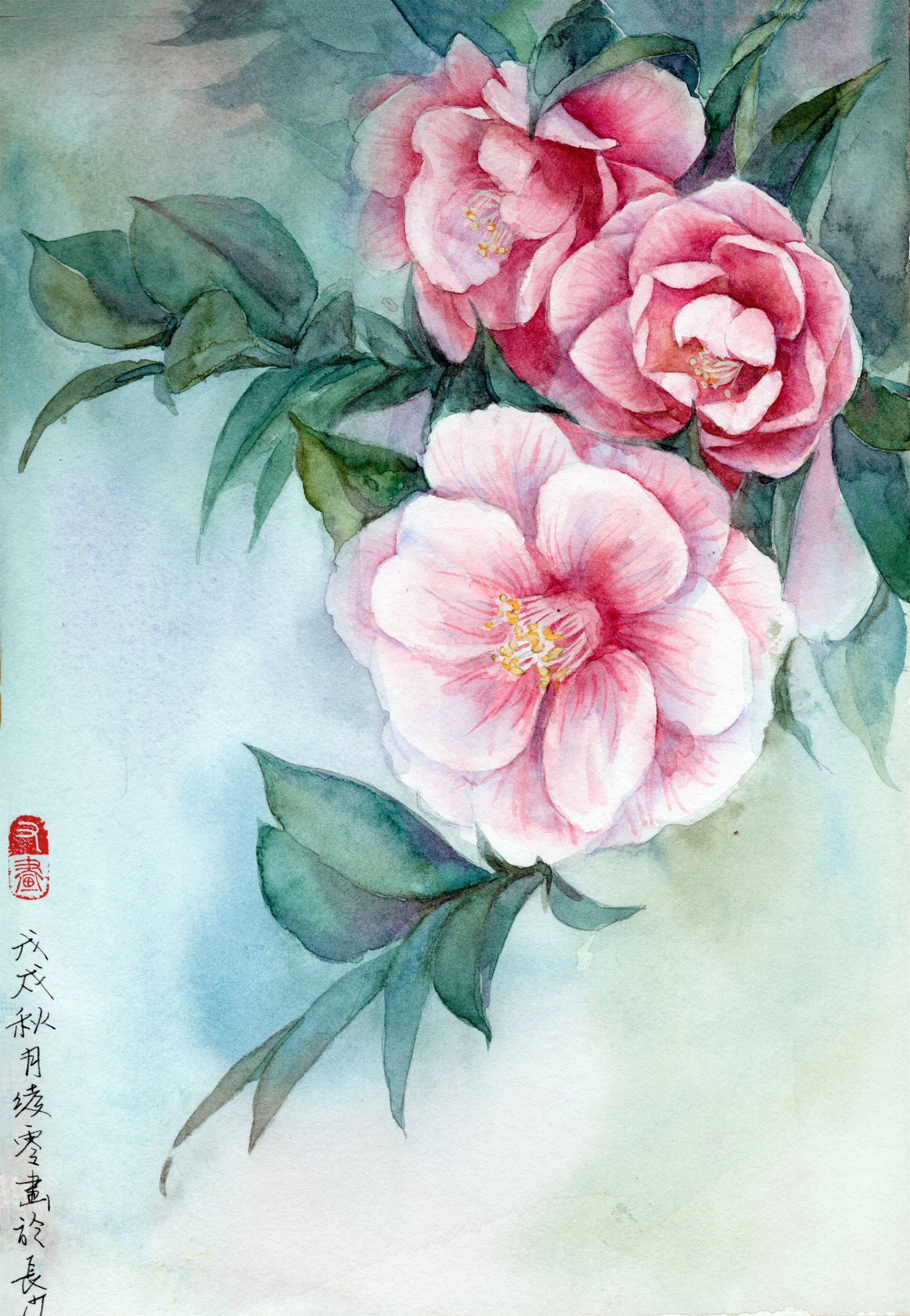 初学水彩画（20张）-图片3