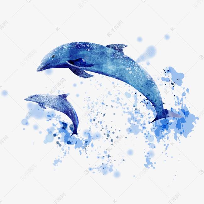 海豚水彩画 海豚水彩画教程步骤图片-图片5