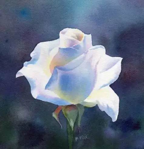 玫瑰花水彩画 玫瑰花画画教程-图片4