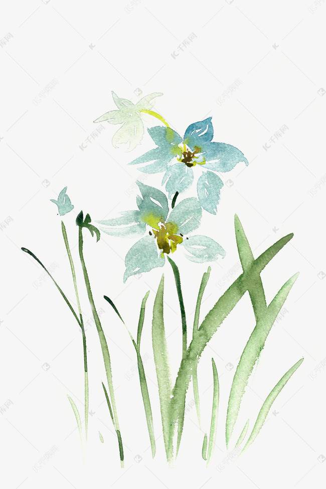 水仙花水彩画 水仙花水彩画教程视频-图片4