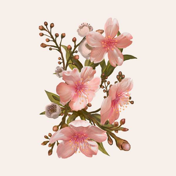 水彩画花朵图片 水彩画花朵图片 素材-图片2