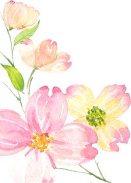 水彩画花朵图片 水彩画花朵图片 素材-图片4
