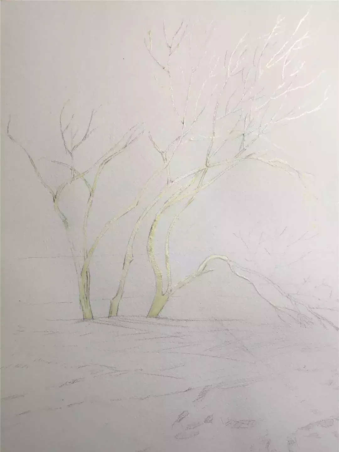 水彩画怎么画树 水彩画怎么画树干-图片2