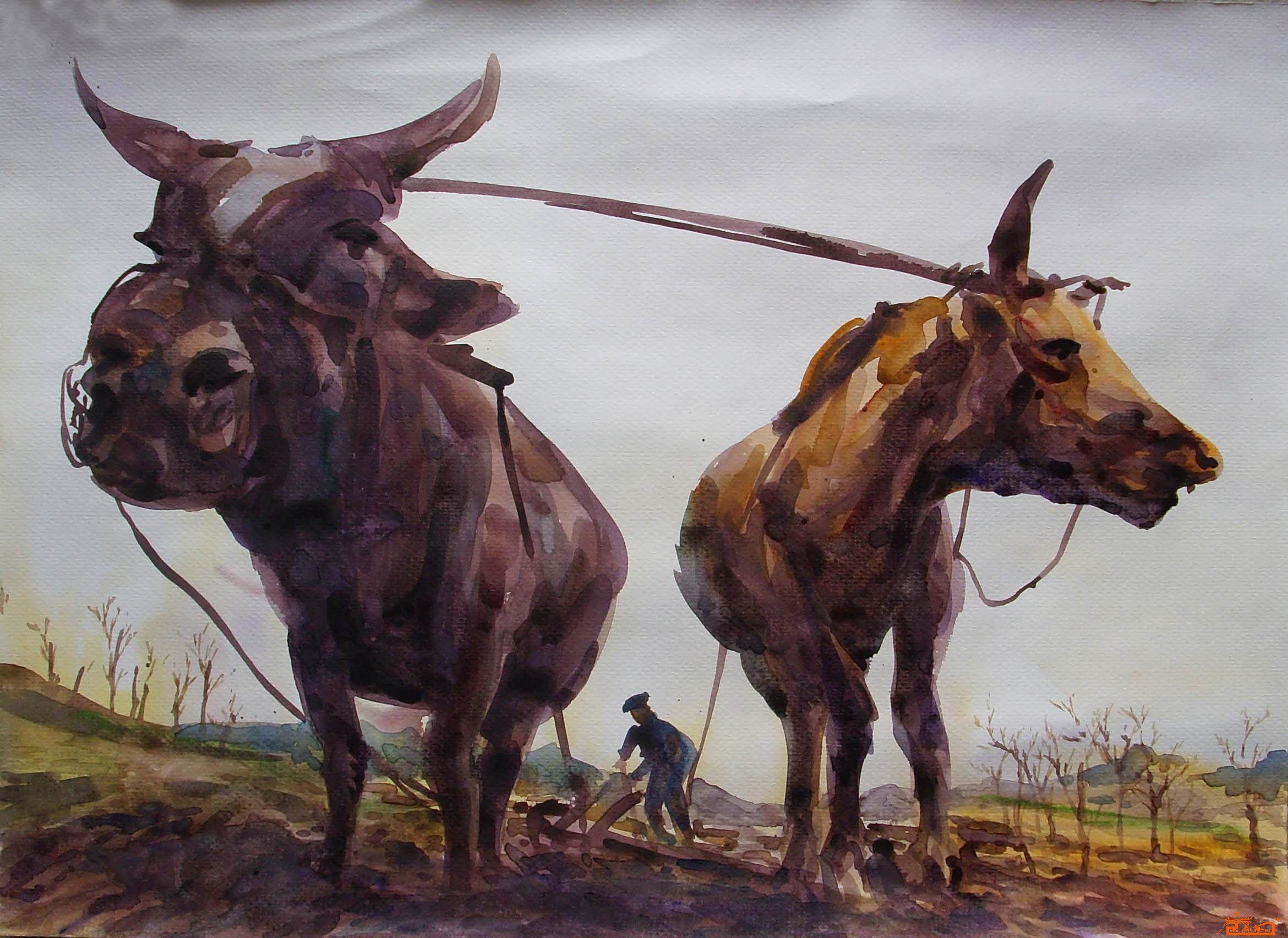 关于牛的水彩画 关于牛的水彩画 简单-图片1