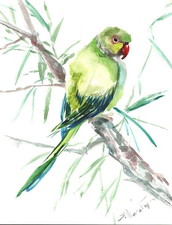 美丽的水彩画