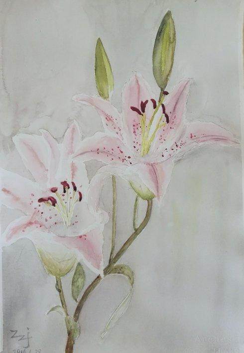 百合花水彩 百合花水彩画法步骤-图片5