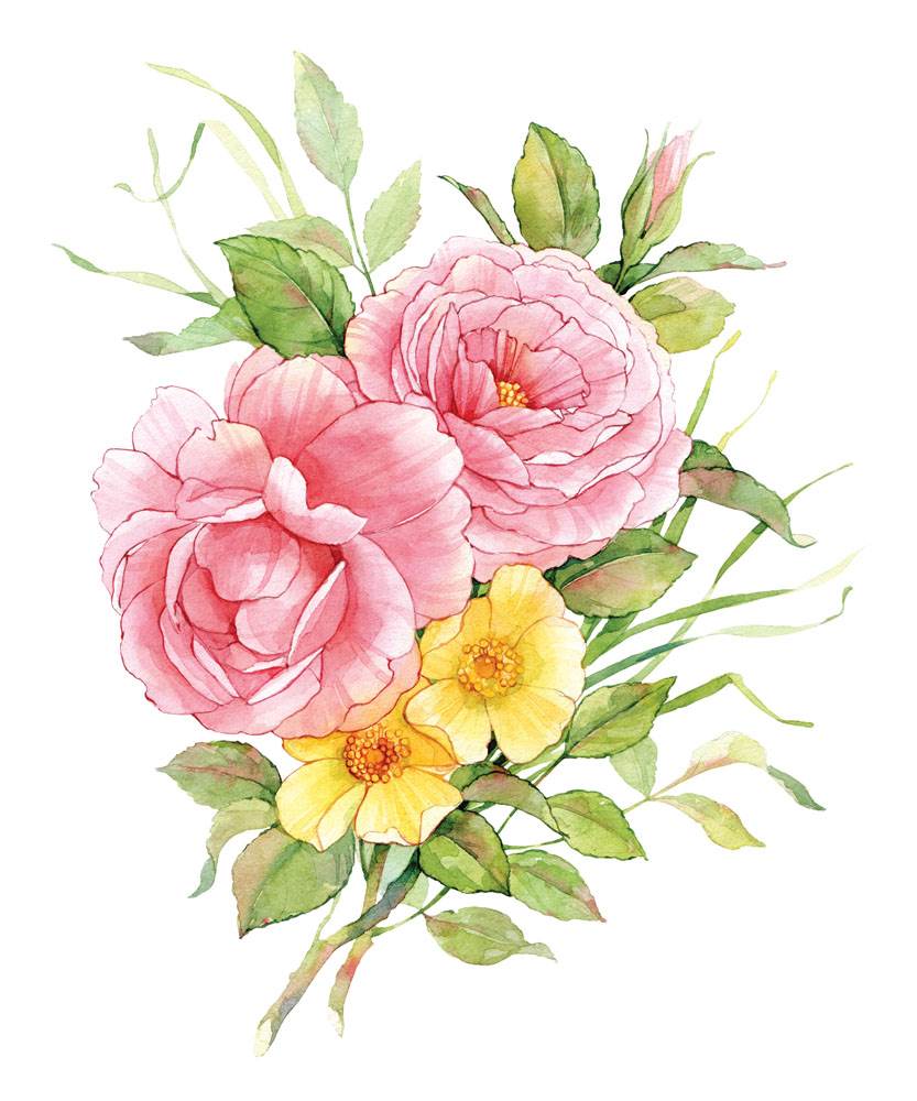 水彩画花朵图片 水彩画花朵图片 素材-图片1