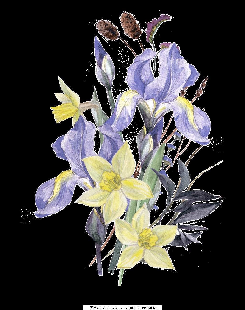 水仙花水彩画 水仙花水彩画教程视频-图片2