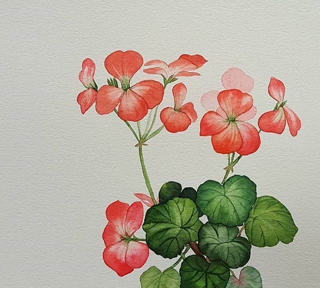 简单易学水彩画 简单易学水彩画星空-图片4