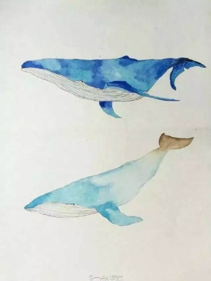 深海鲸鱼唯美水彩画 海洋水彩画教程要有鲸鱼的-图片1