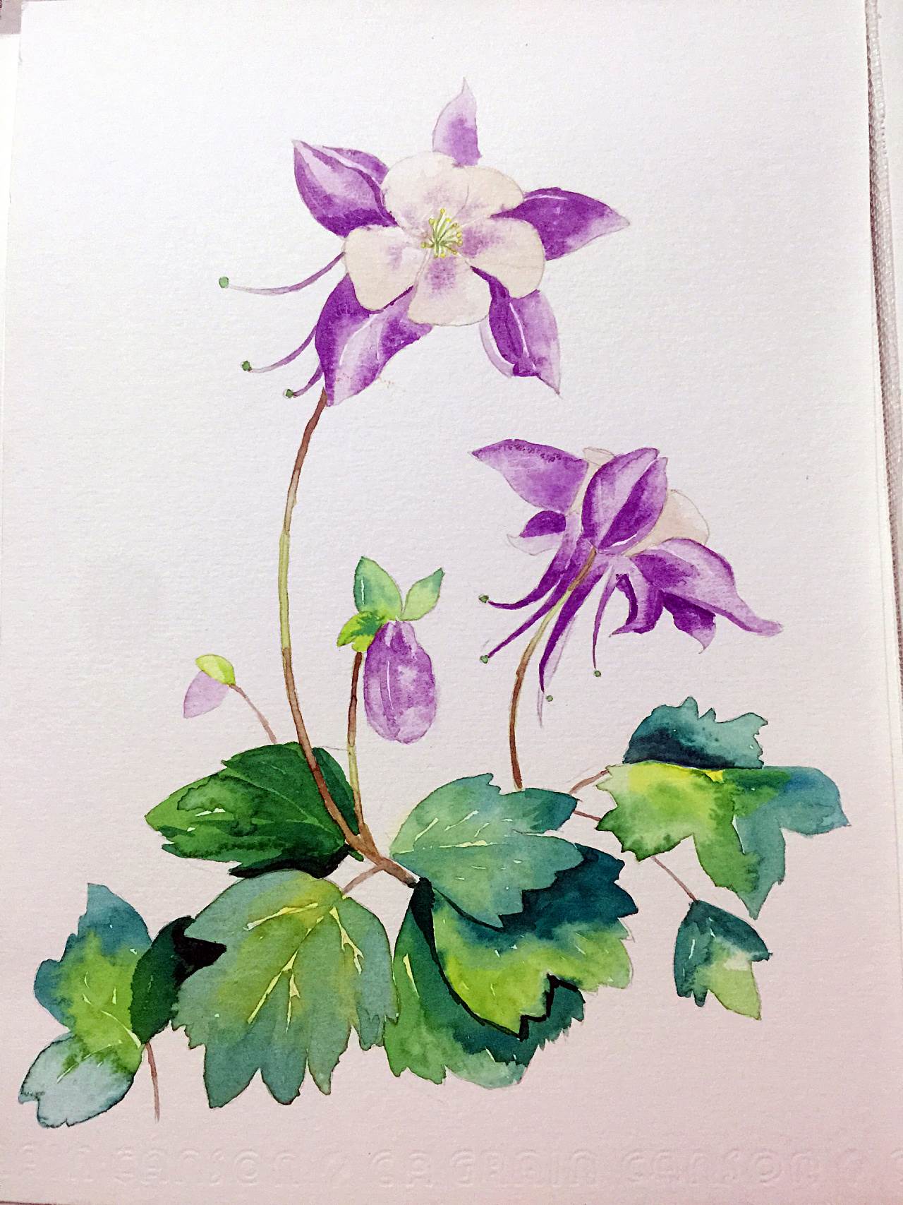 初中生水彩画 怎样学水彩画-图片5