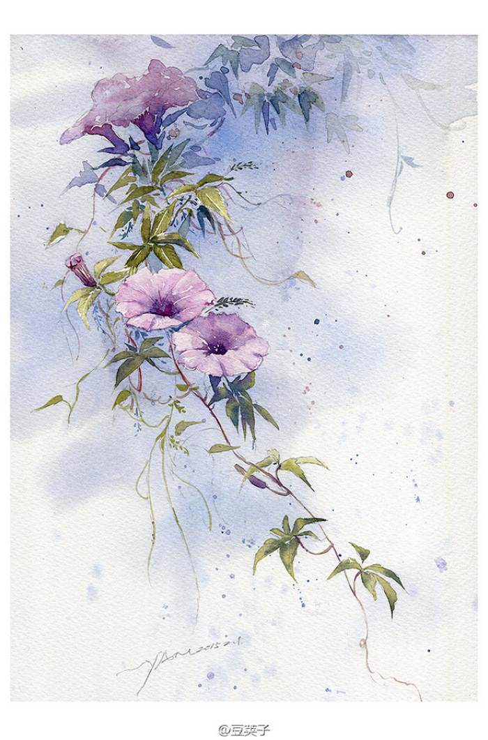 牵牛花水彩画