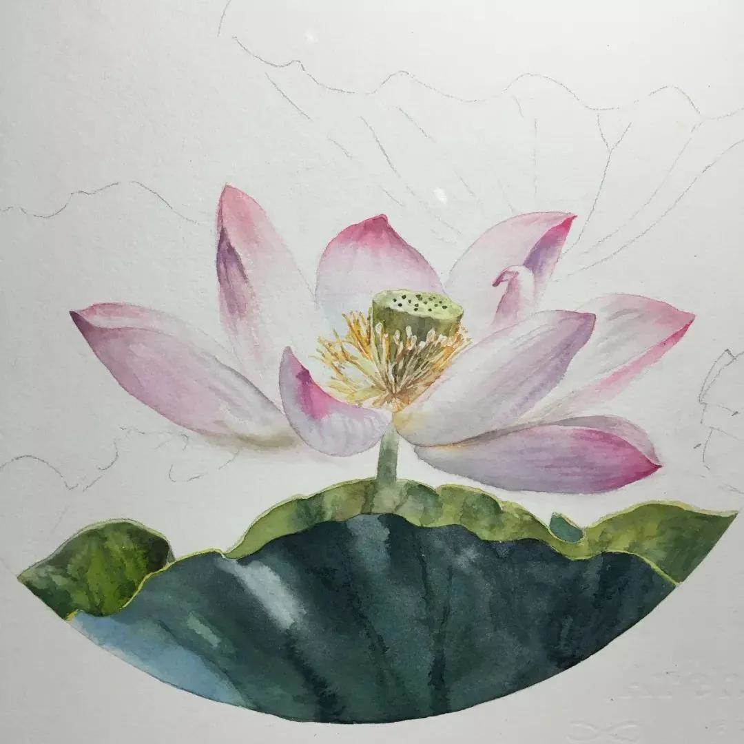 新手初学的水彩画 新手入门水彩画-图片2