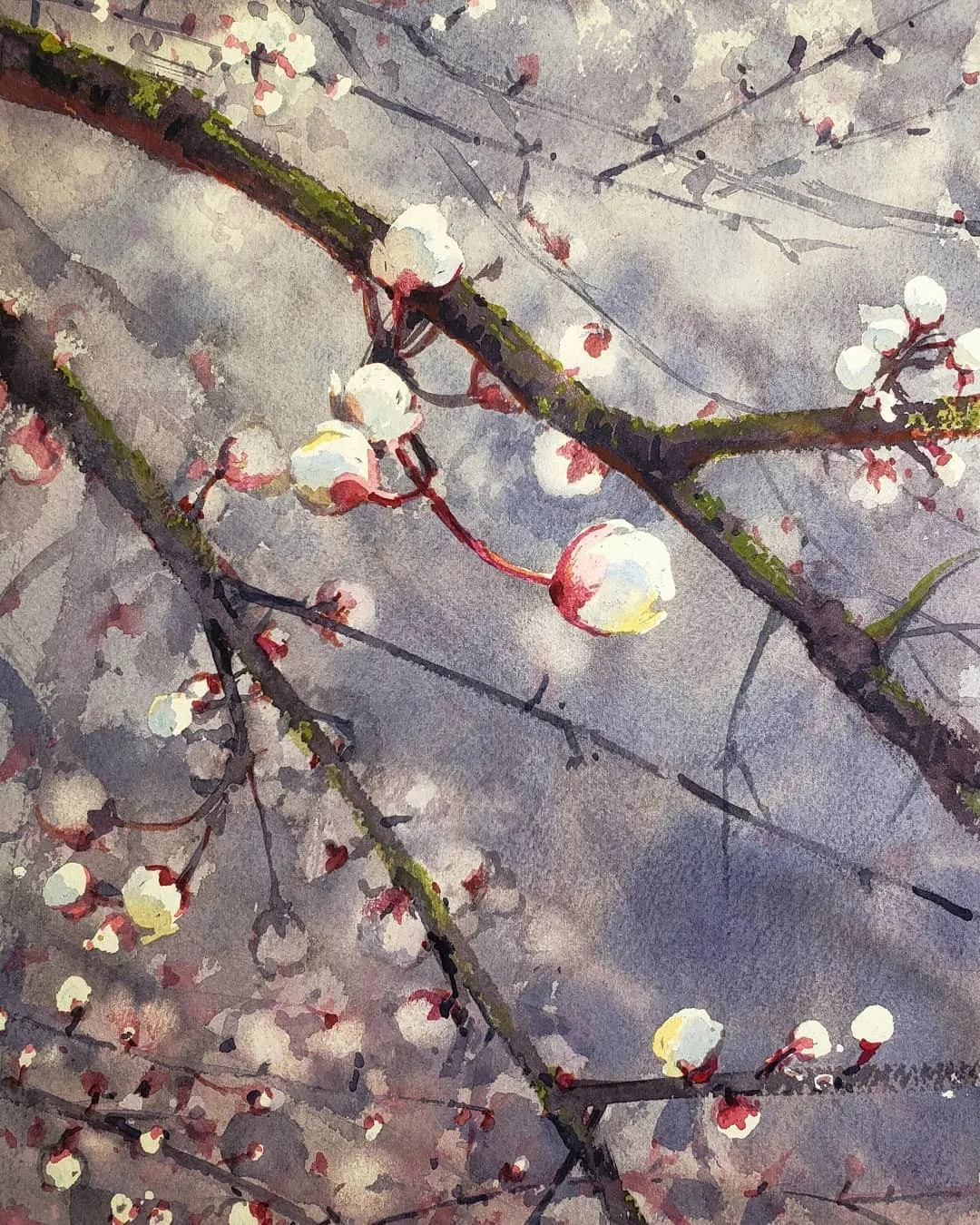 简单风景水彩画 简单风景水彩画 入门-图片2