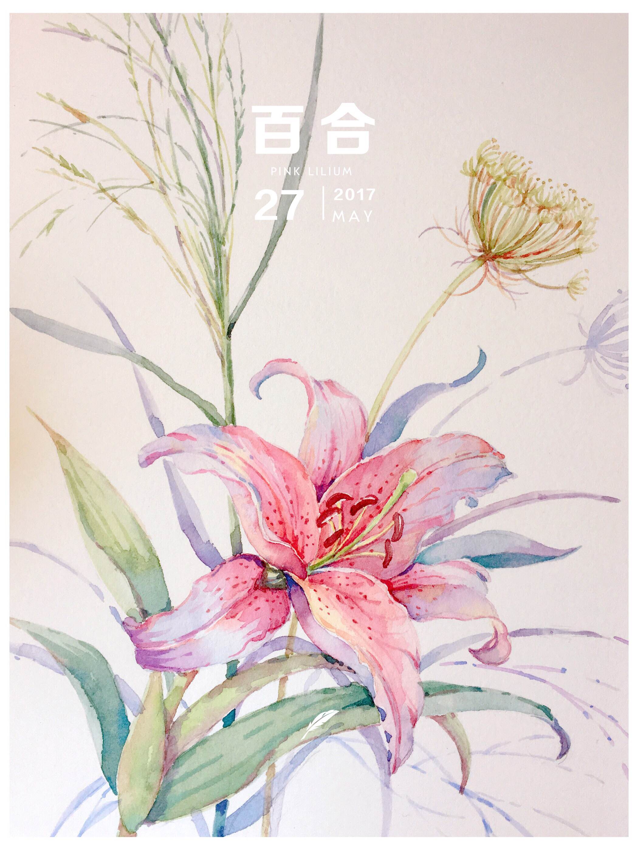 百合花水彩