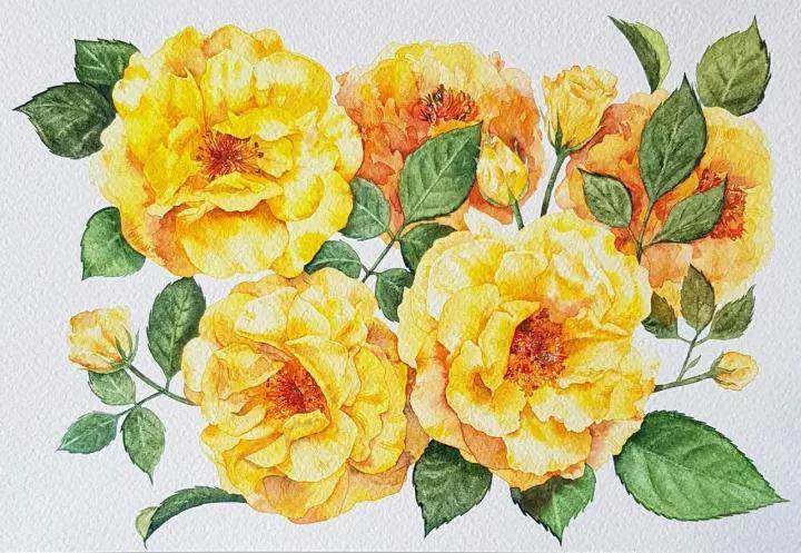 各种花的水彩画 花的水彩画图片大全-图片5