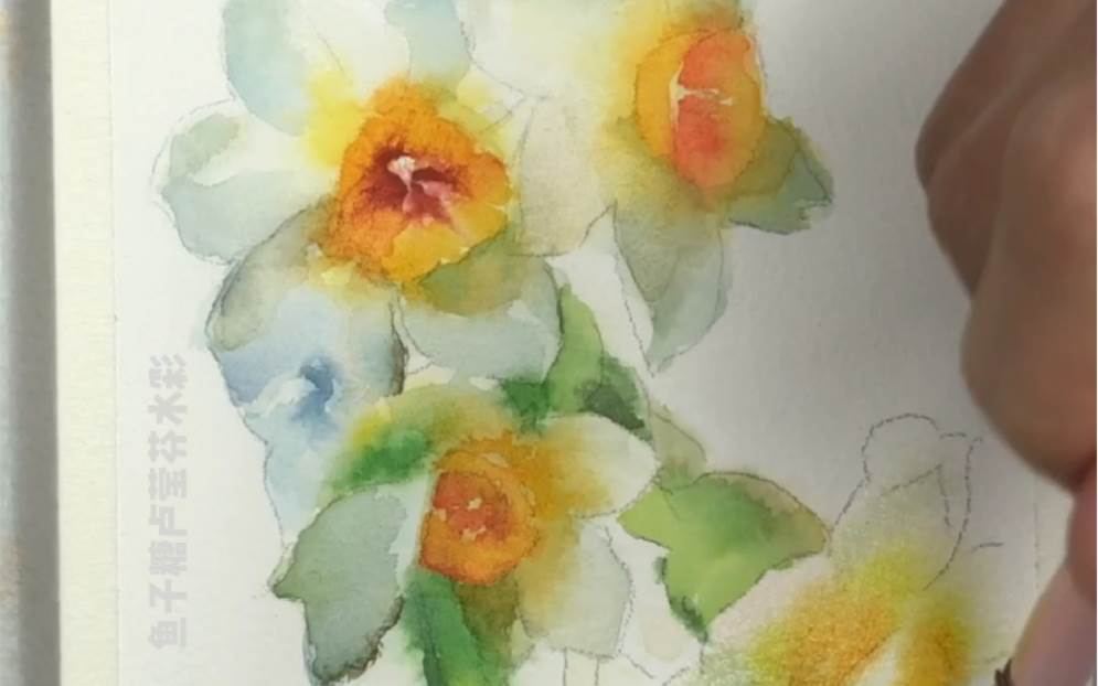 水仙花水彩画 水仙花水彩画教程视频-图片5