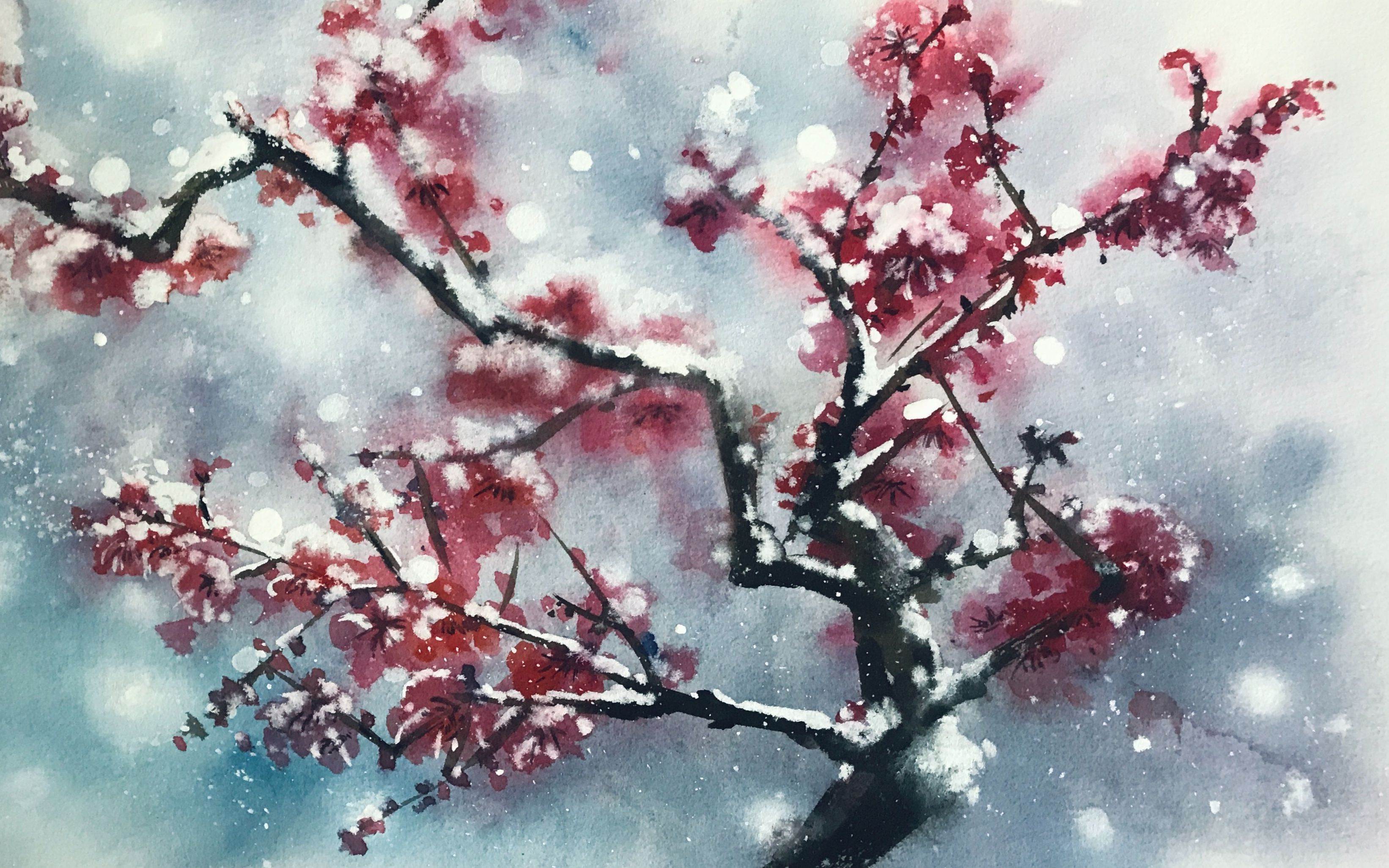 梅花水彩画图片 梅花水彩画图片大全-图片2