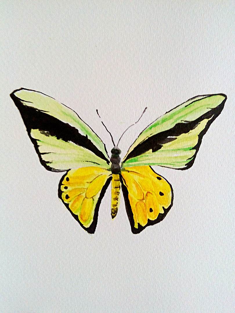 水彩画图片入门简单