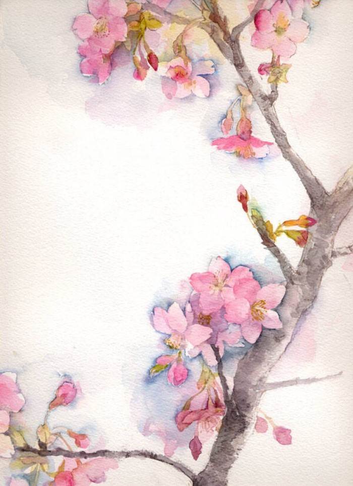 梅花的水彩画 水彩梅花的画法-图片2