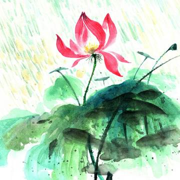 荷花池塘水彩画