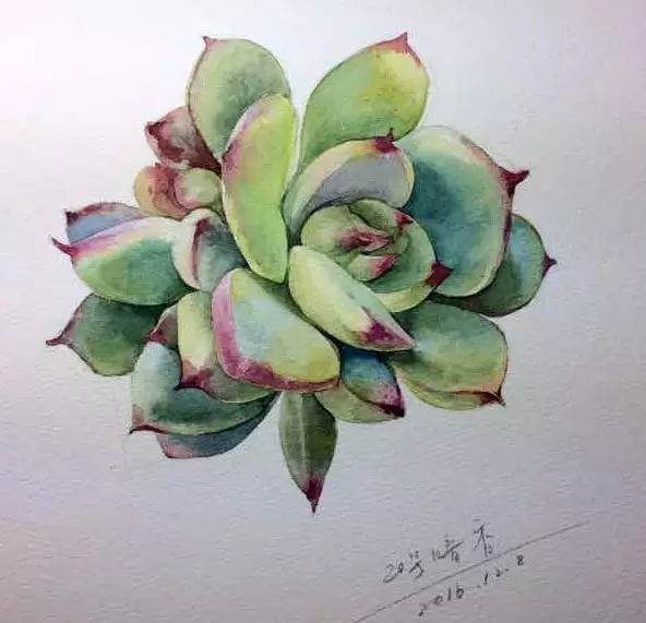 怎样画好水彩画 怎样画好水彩画成为大师-图片1