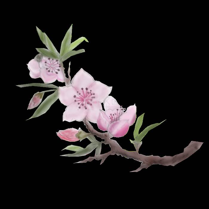 桃花水彩画