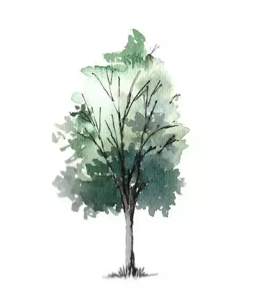 水彩树的画法 水彩树的画法图片-图片2