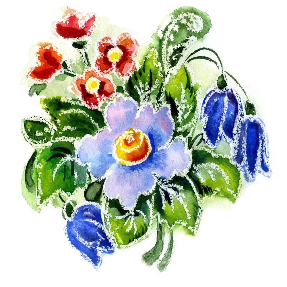 各种花的水彩画