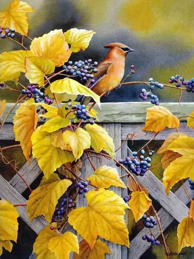 临摹水彩画 临摹水彩画素材图片-图片1