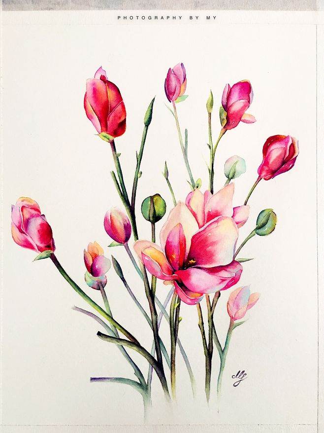 花的水彩画