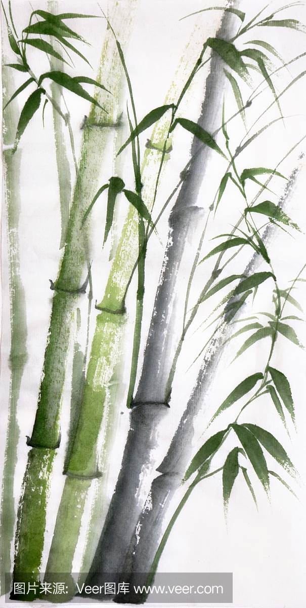 竹子水彩画 竹子水墨画-图片1
