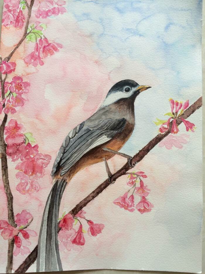 初中生水彩画 怎样学水彩画-图片4