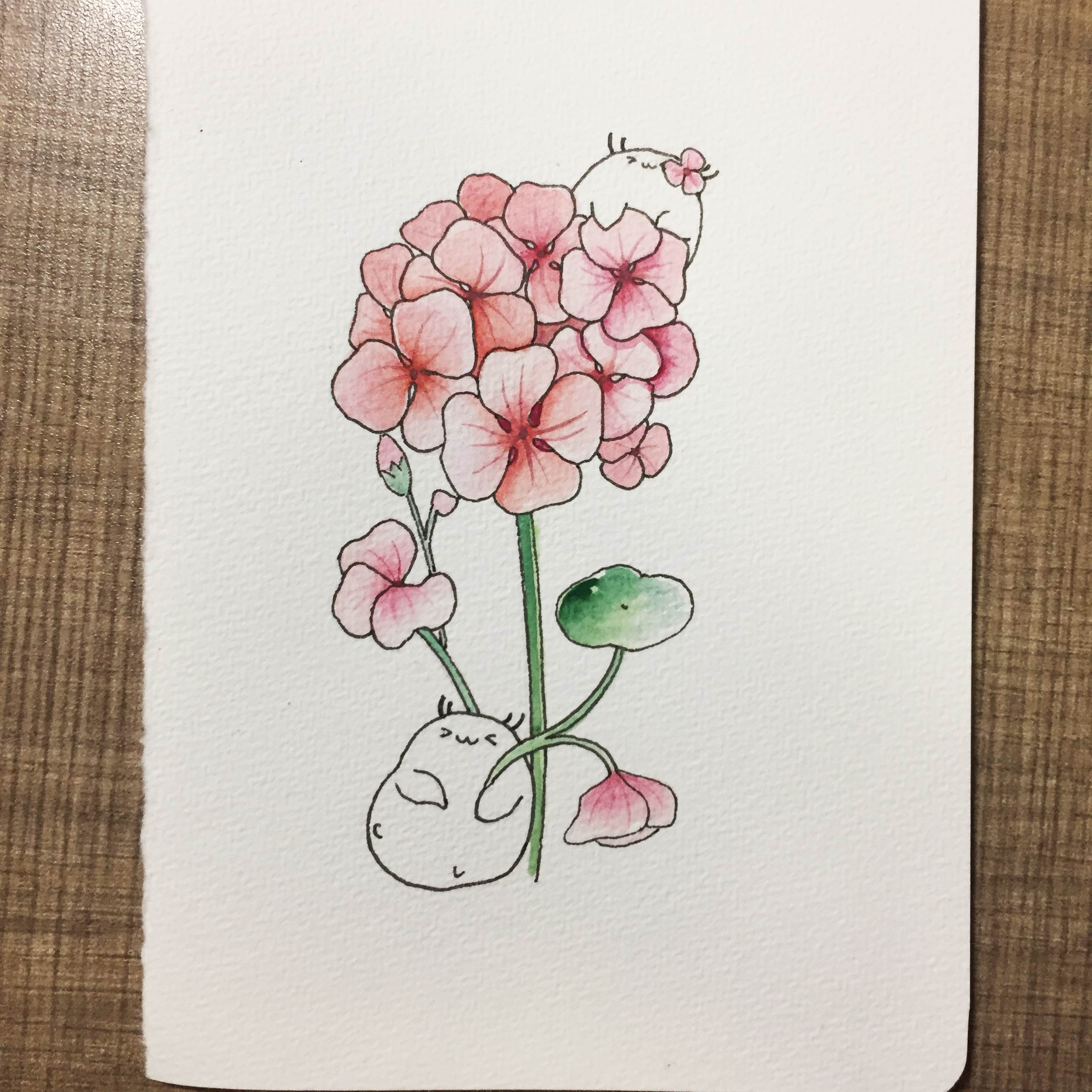 水彩画入门简单画水彩 水彩画入门教程-图片1