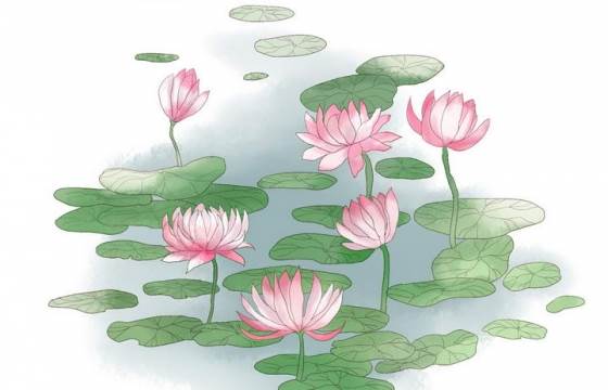 荷花池塘水彩画