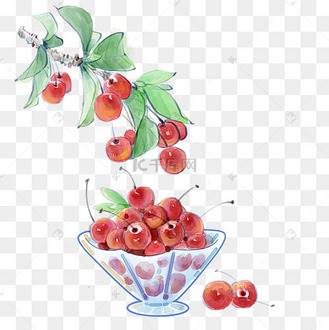 车厘子水彩画