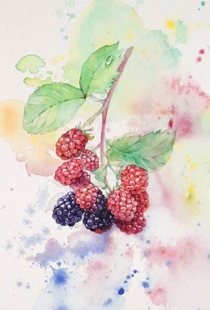 新手画水彩画