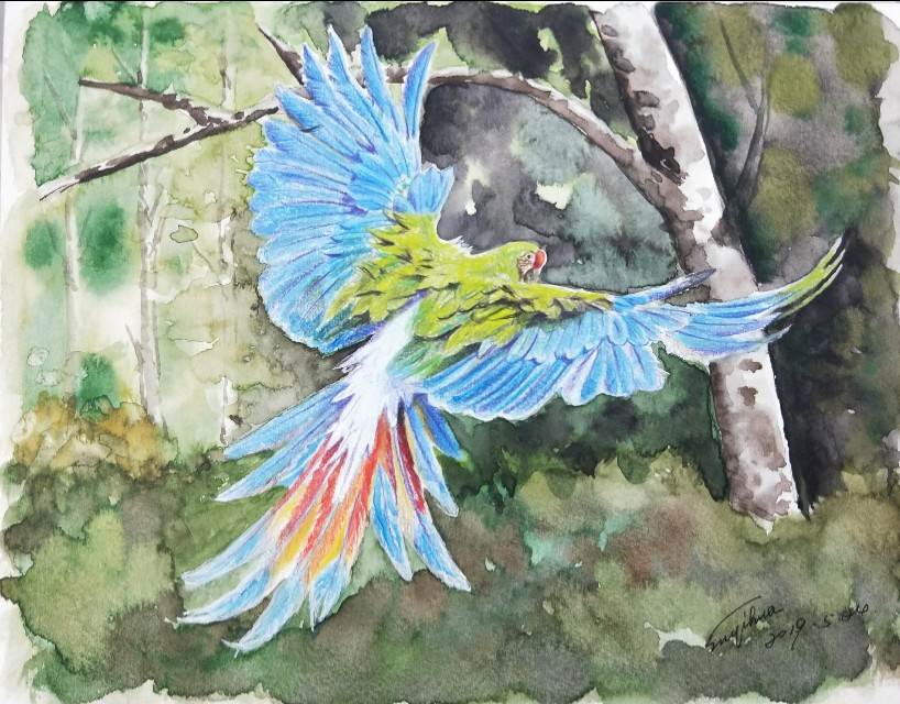 彩铅水彩画