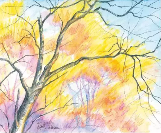 彩铅水彩画