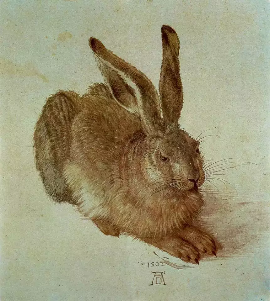 丢勒第一幅水彩画