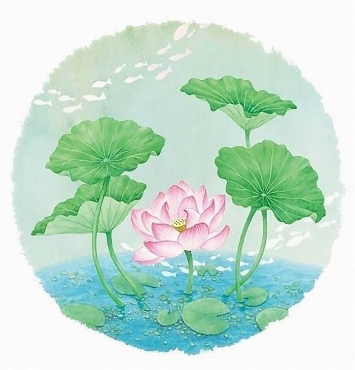 荷花画水彩画