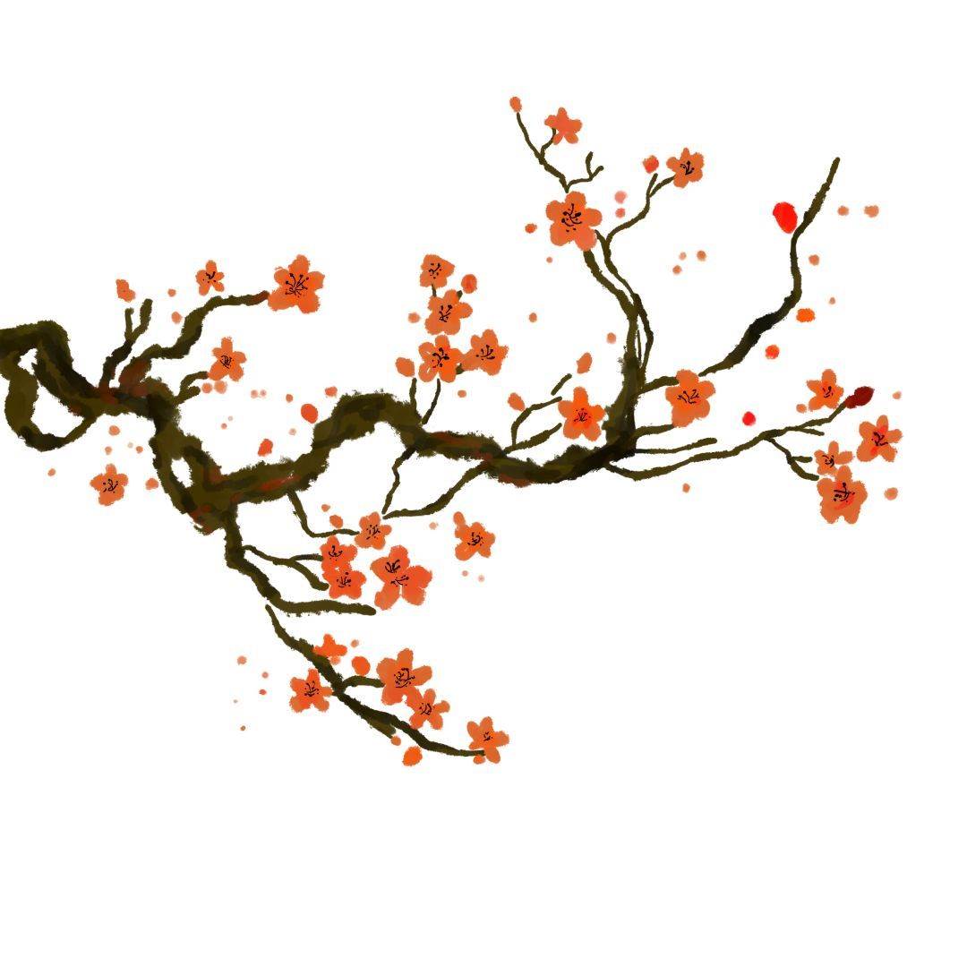 水粉画梅花