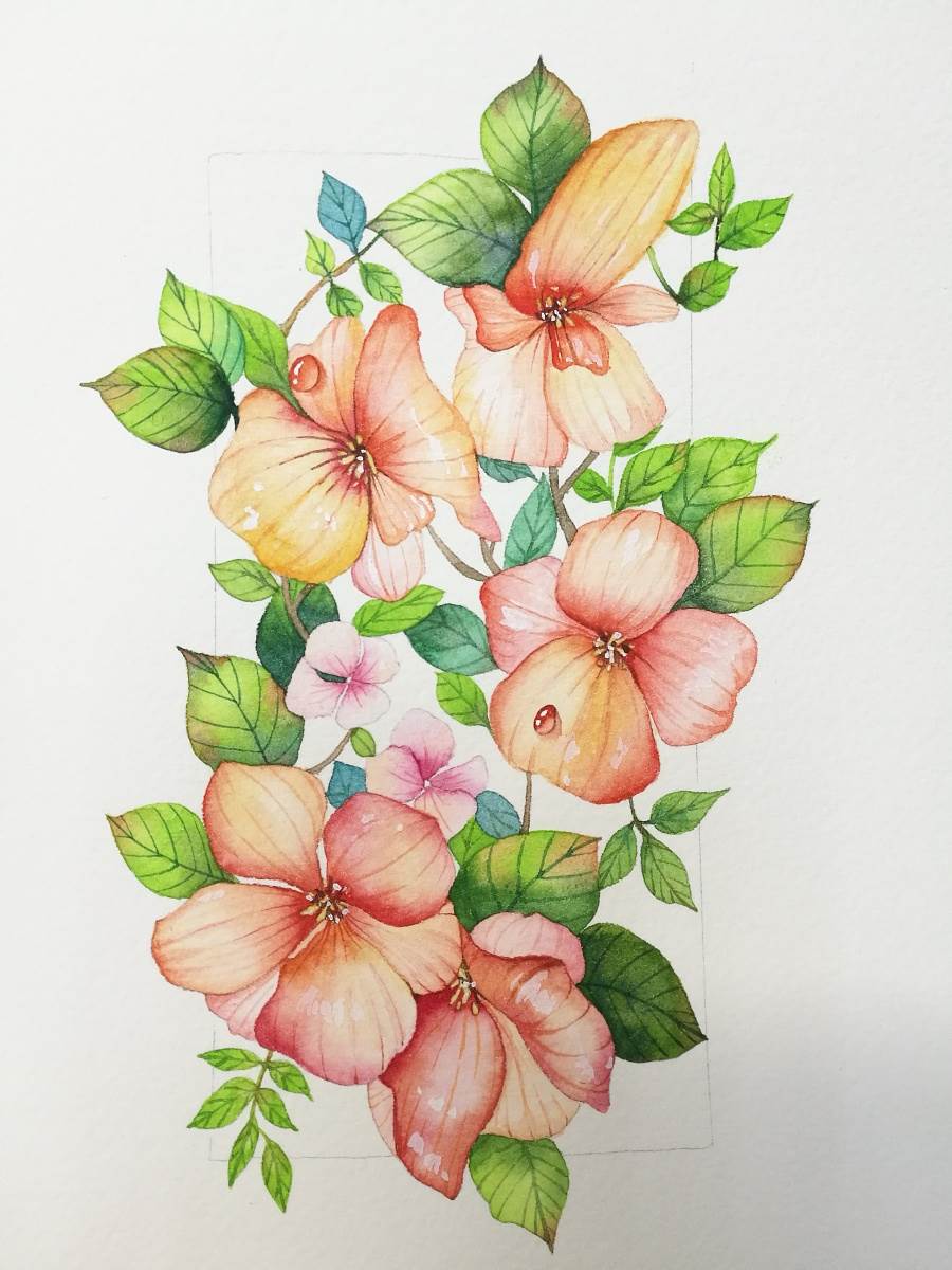 画花水彩画