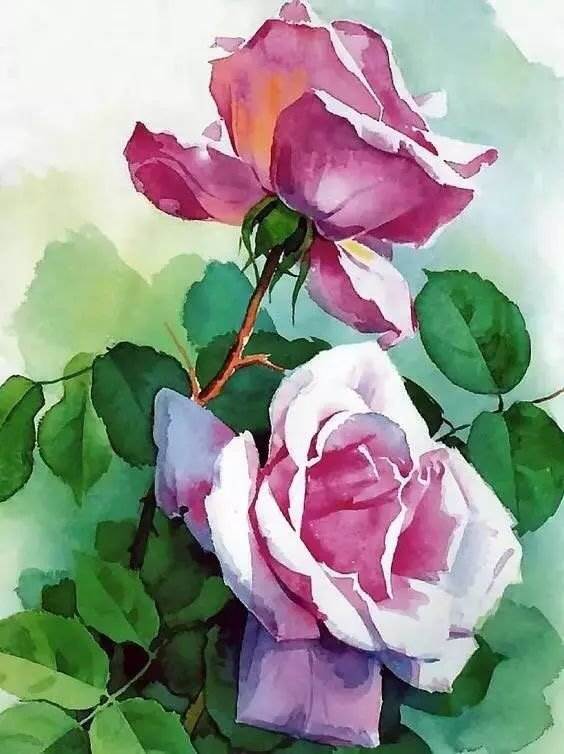 漂亮水彩画