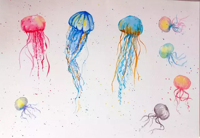 海洋生物水彩画