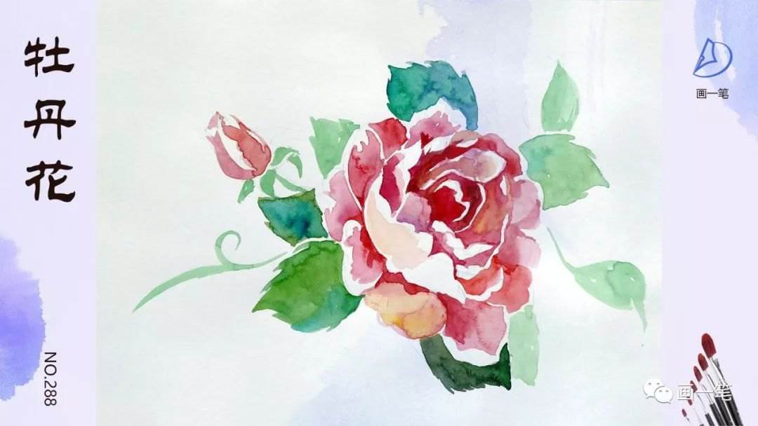 牡丹水粉画