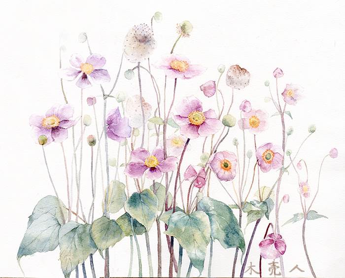 植物水粉画